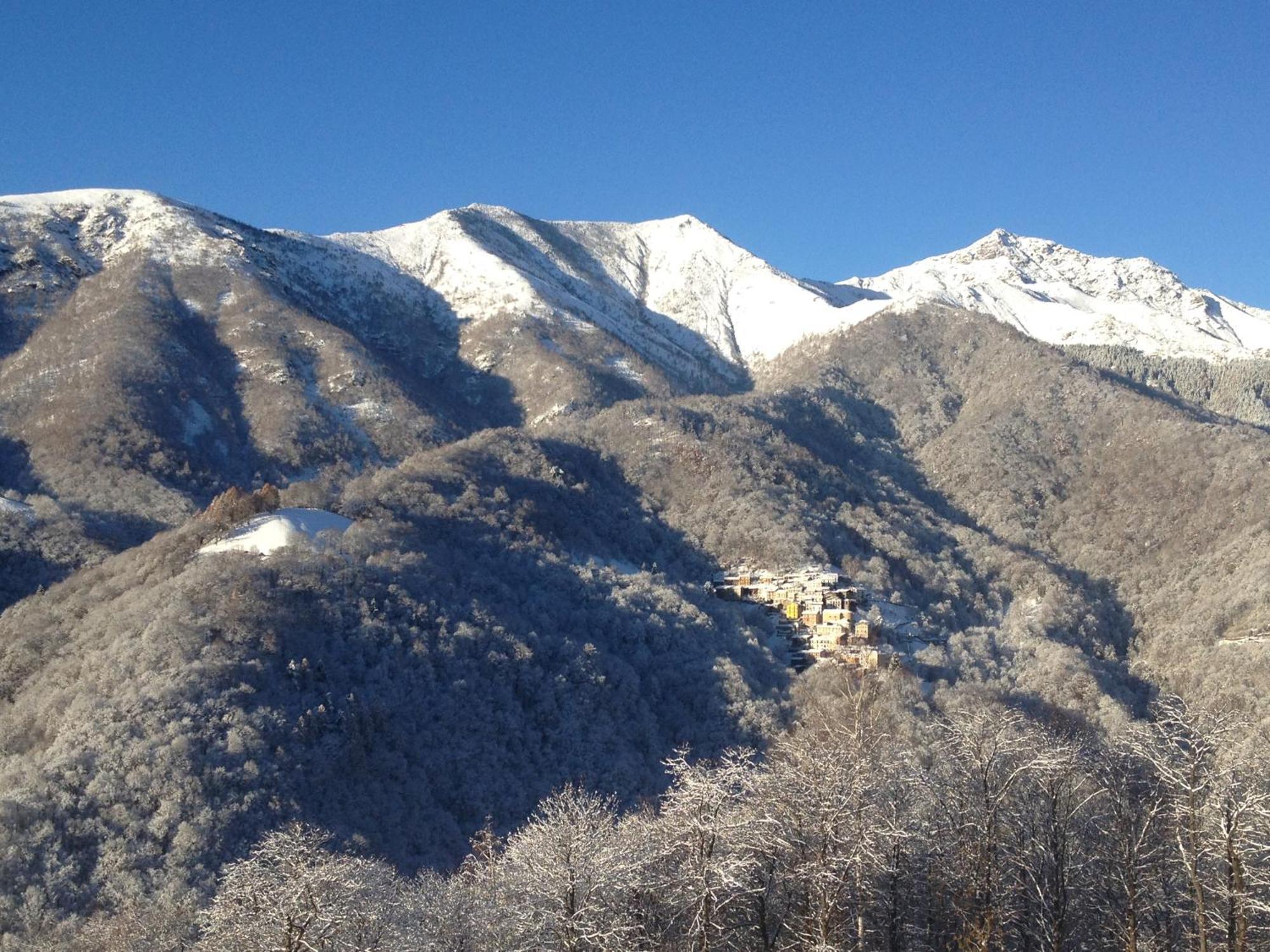 L'arbo * Andorno Micca