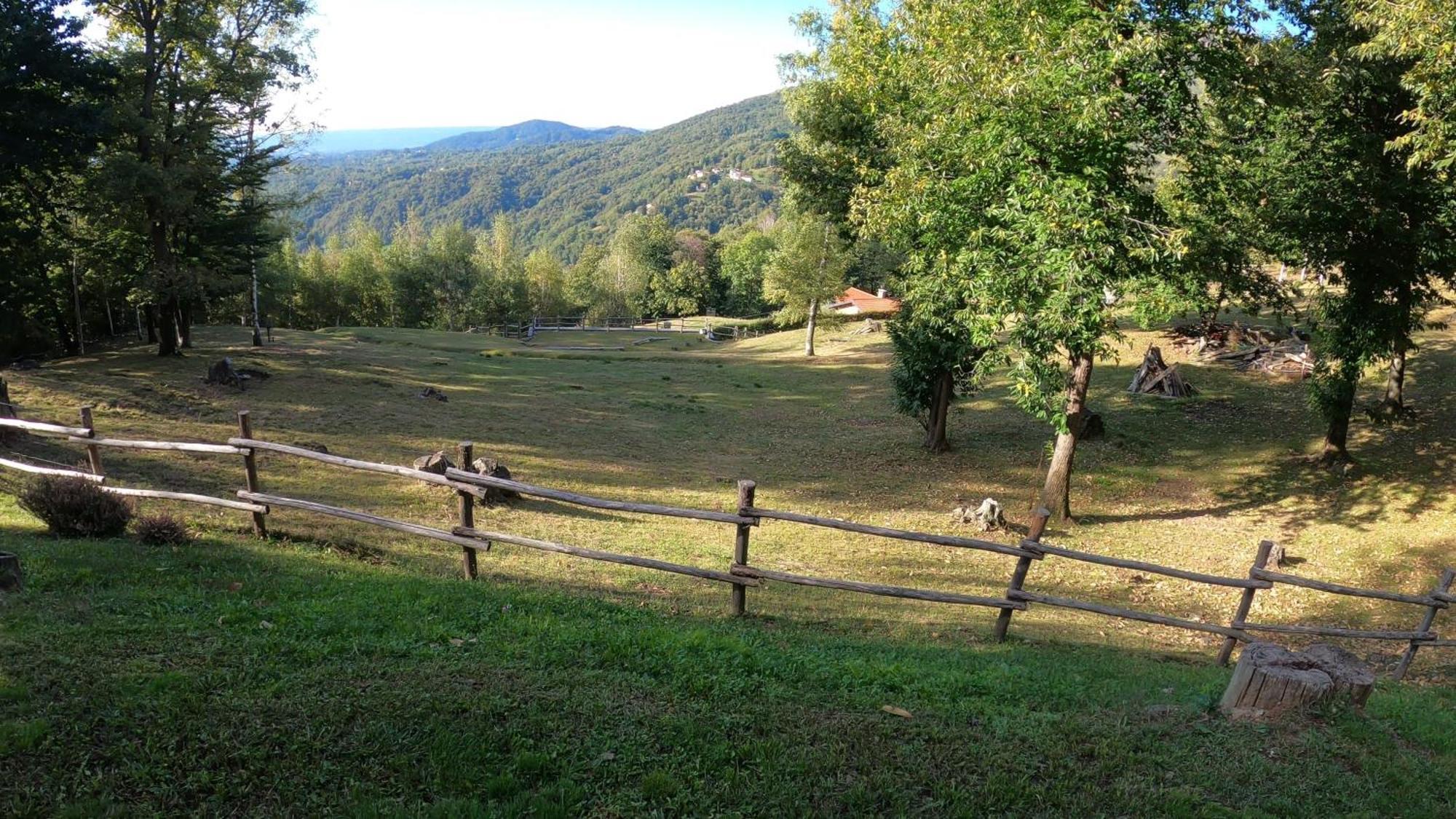 L'arbo *